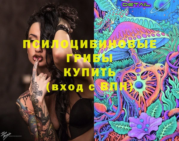 дживик Армянск